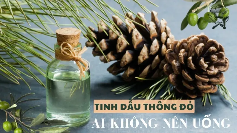 Nguy cơ khi sử dụng tinh dầu thông đỏ - Ai không nên uống?